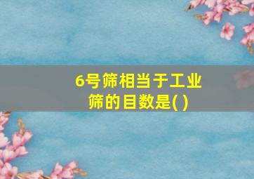 6号筛相当于工业筛的目数是( )